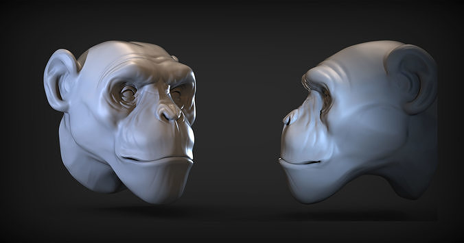 Monkey head  3D print model