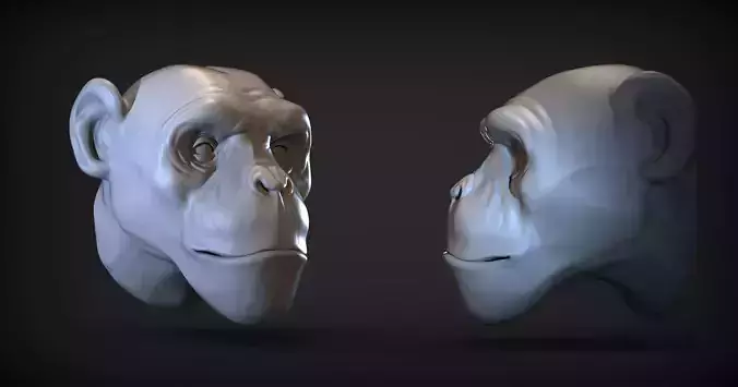 Monkey head  3D print model