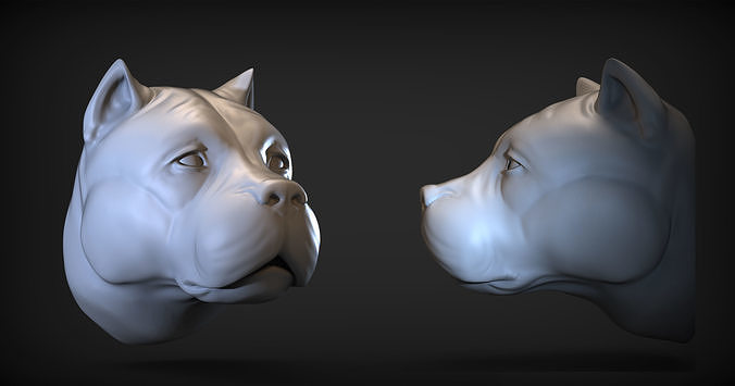 Pitbull Head  3D print model