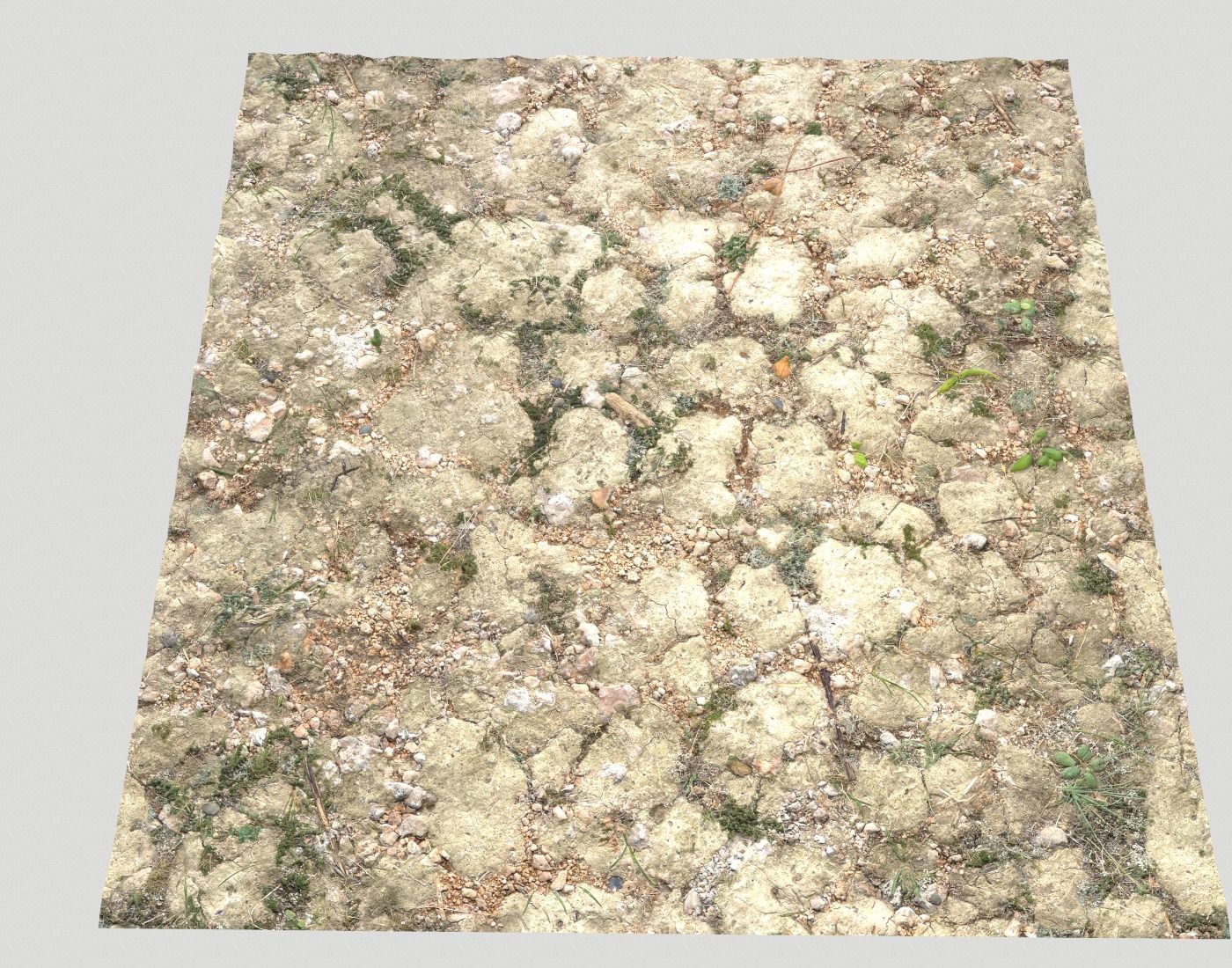 Ground terrain forest tundra PBR pack 3 Texture_19