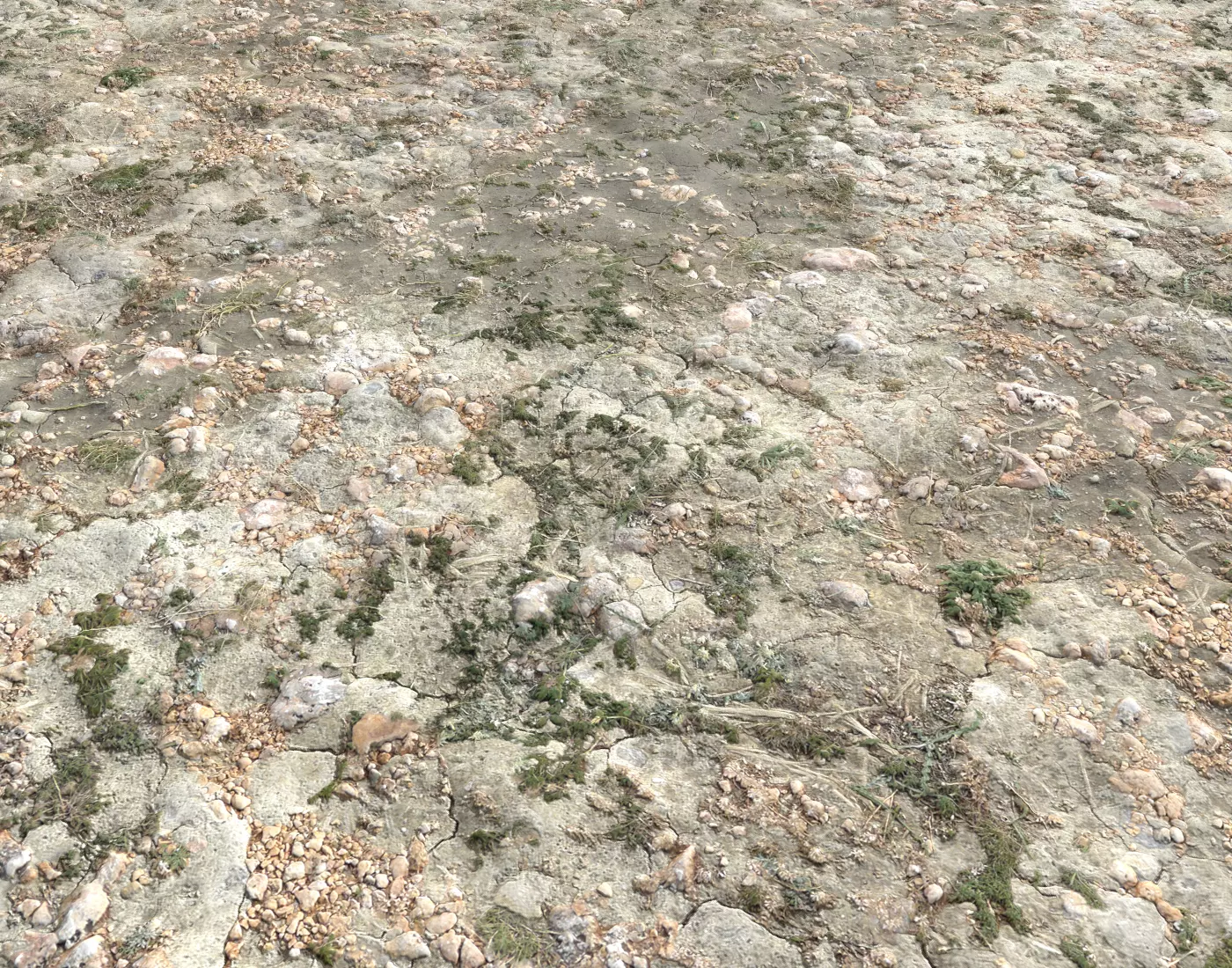 Ground terrain forest tundra PBR pack 3 Texture_0