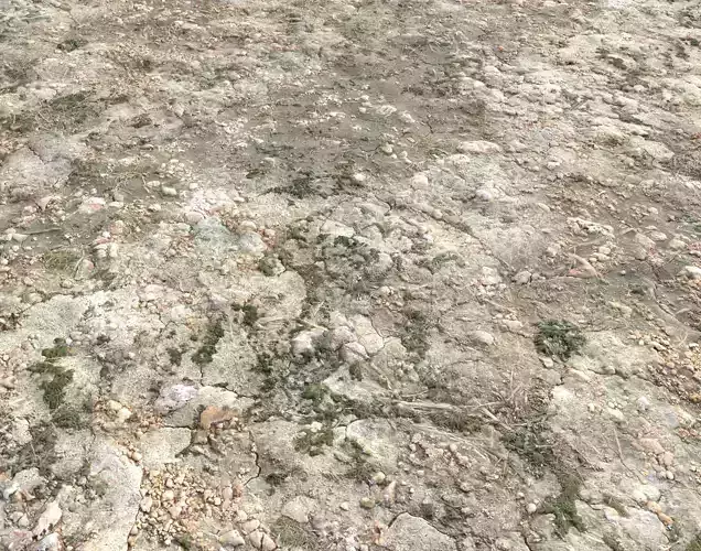 Ground terrain forest tundra PBR pack 3 Texture