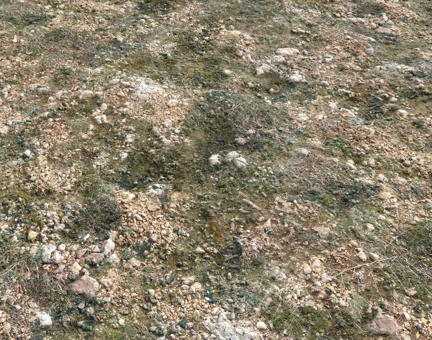 Ground terrain forest tundra PBR pack 3 Texture_5