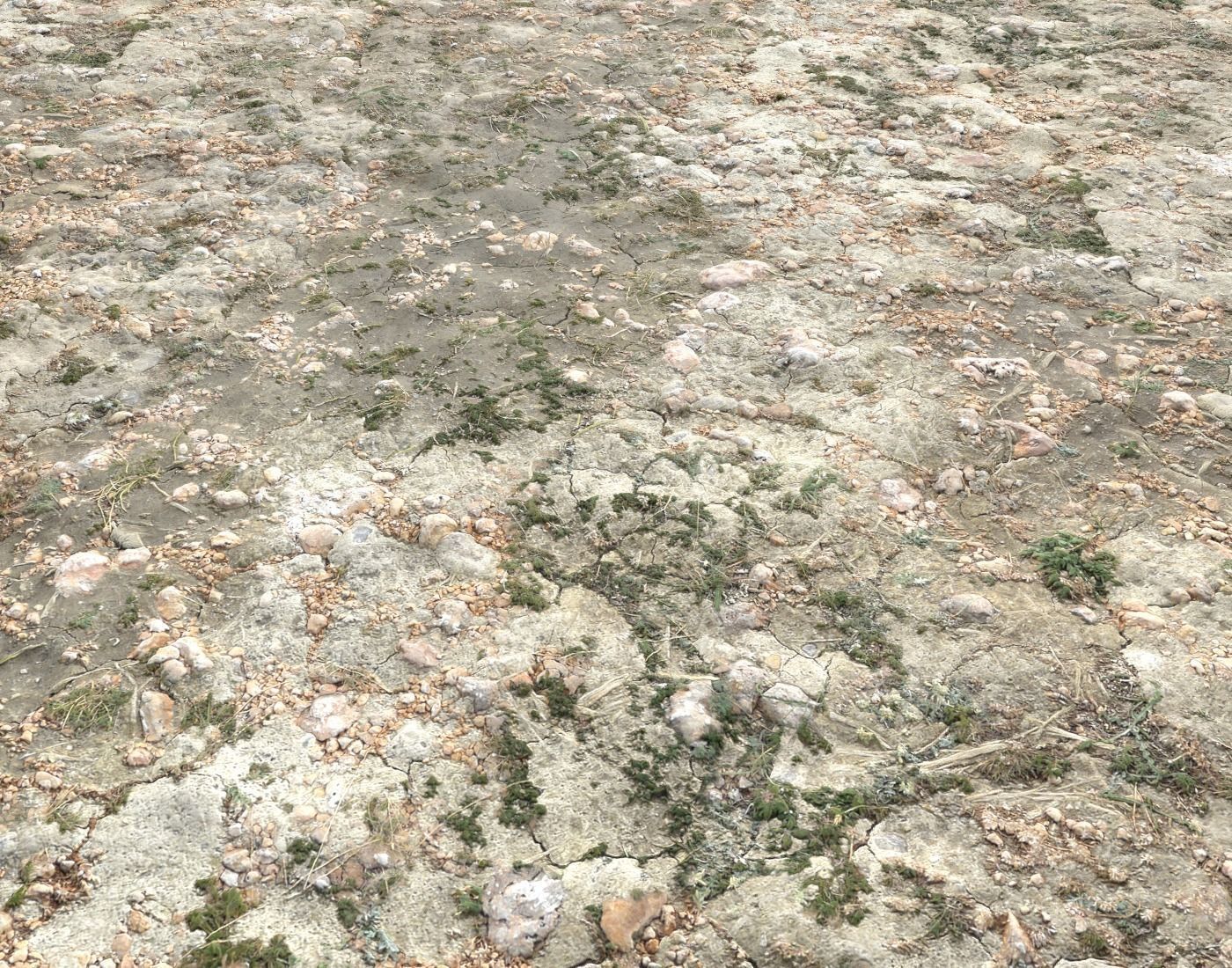 Ground terrain forest tundra PBR pack 3 Texture_4