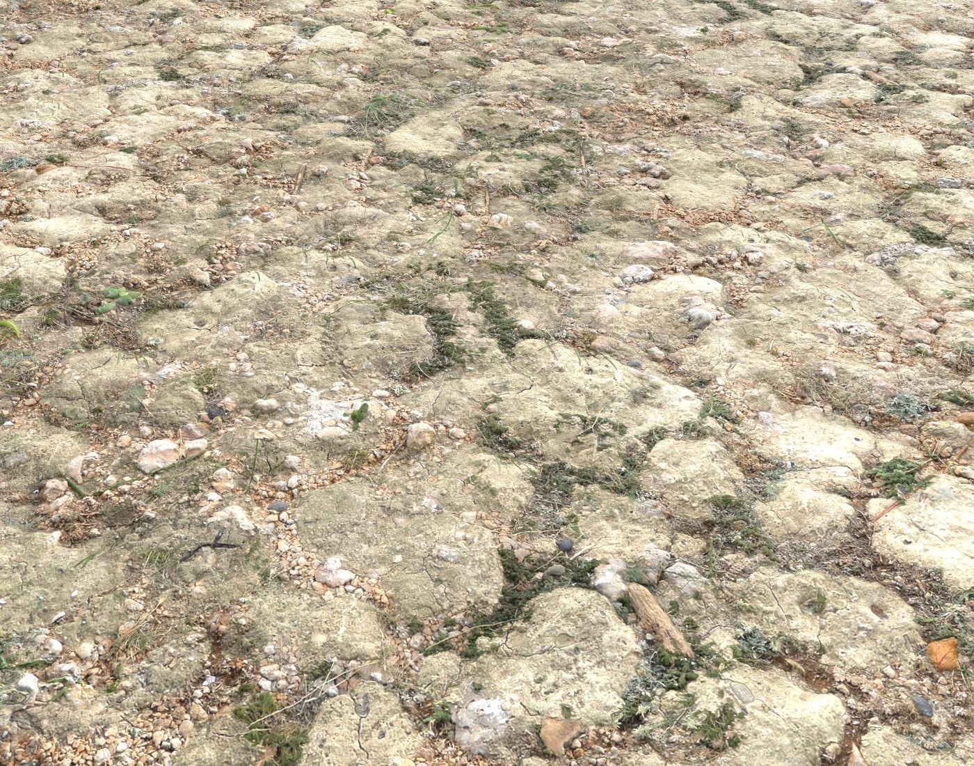 Ground terrain forest tundra PBR pack 3 Texture_13