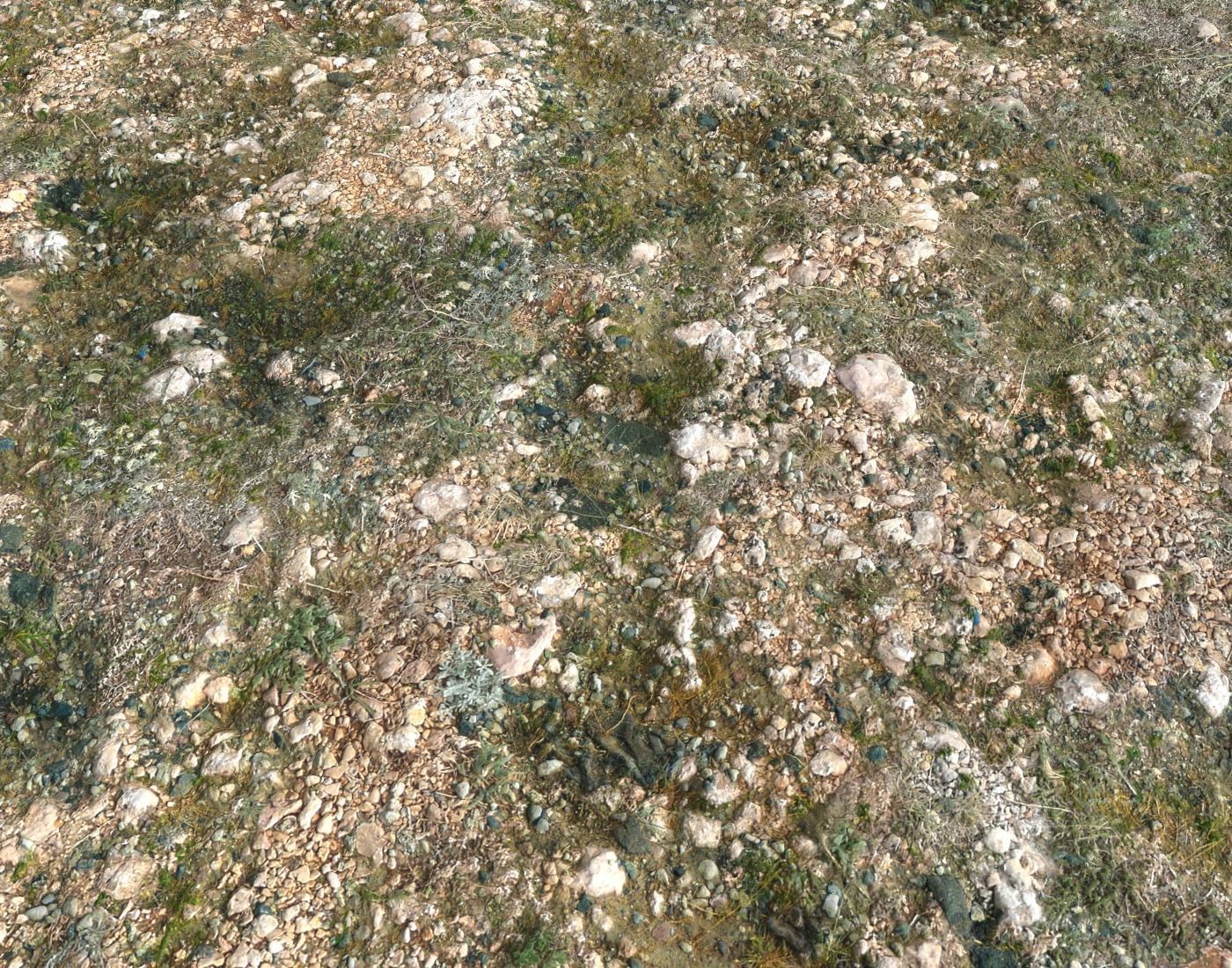 Ground terrain forest tundra PBR pack 3 Texture_7
