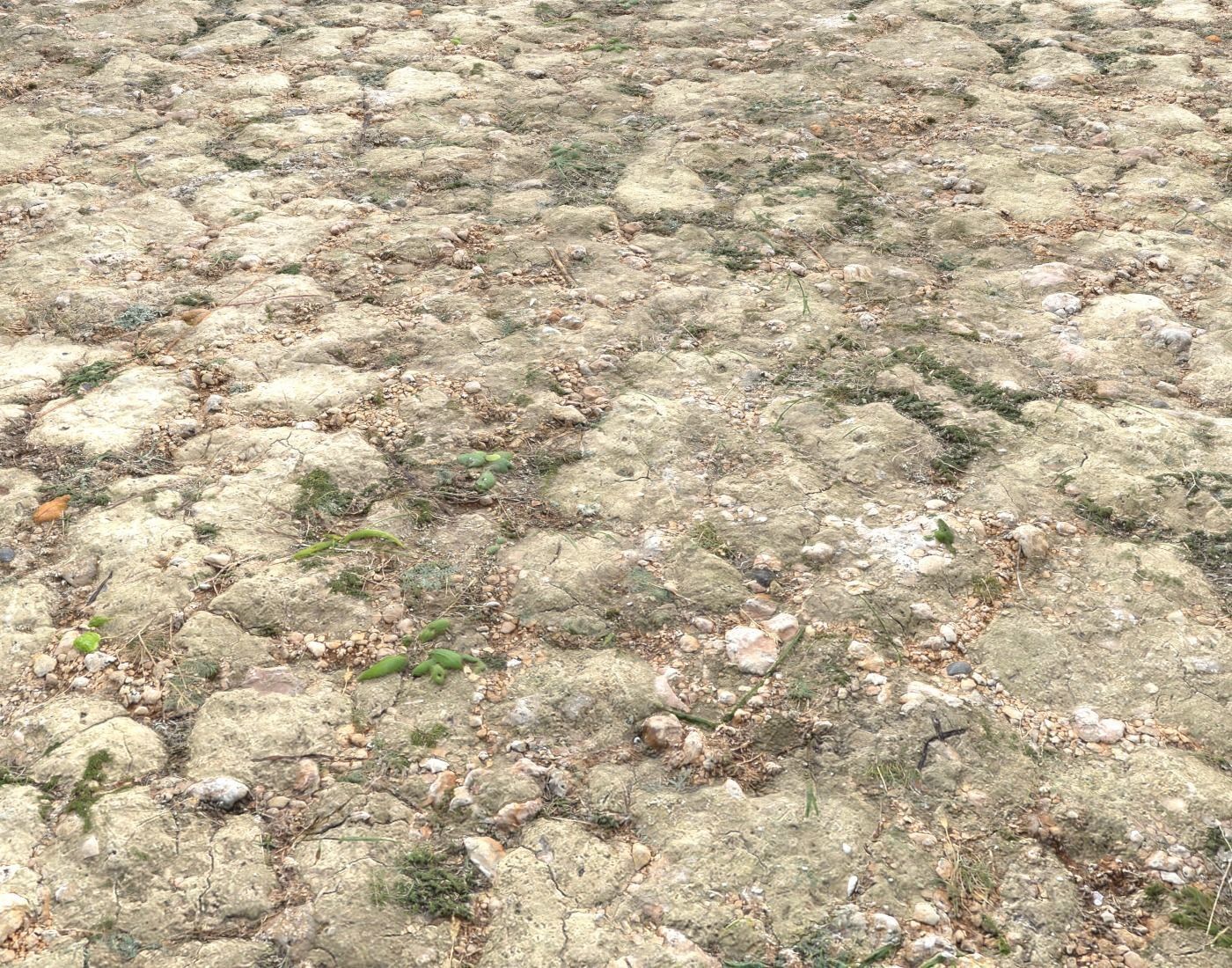 Ground terrain forest tundra PBR pack 3 Texture_16