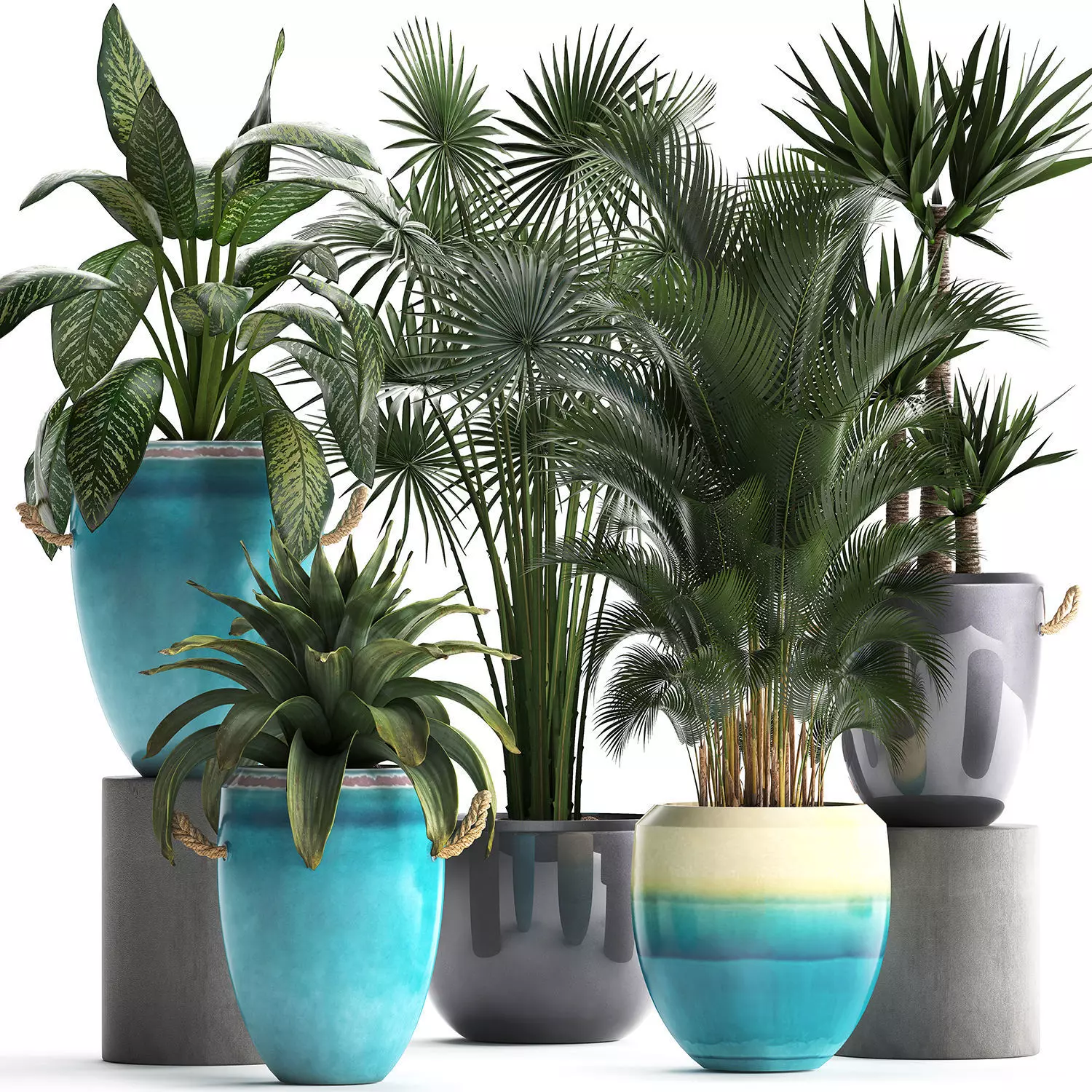 Collection of Exotic Plants 394 3D model
