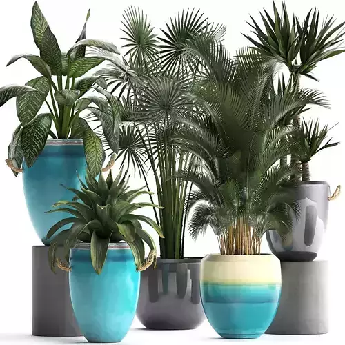 Collection of Exotic Plants 394