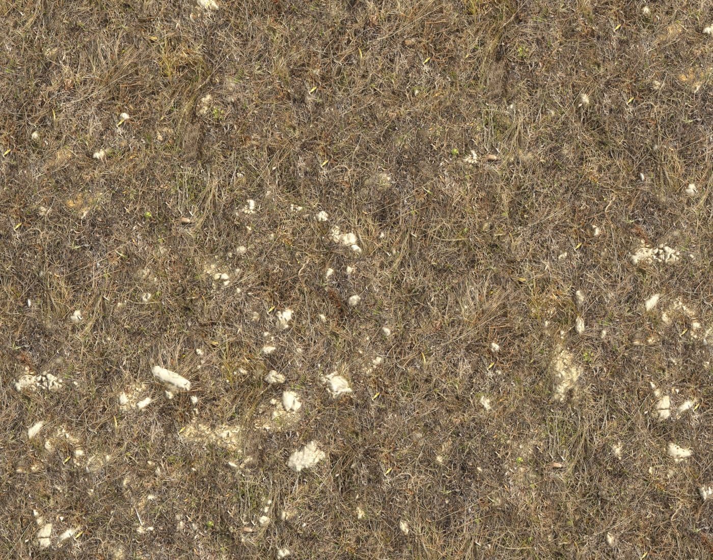 Ground terrain rough forest PBR pack 1 Texture_7