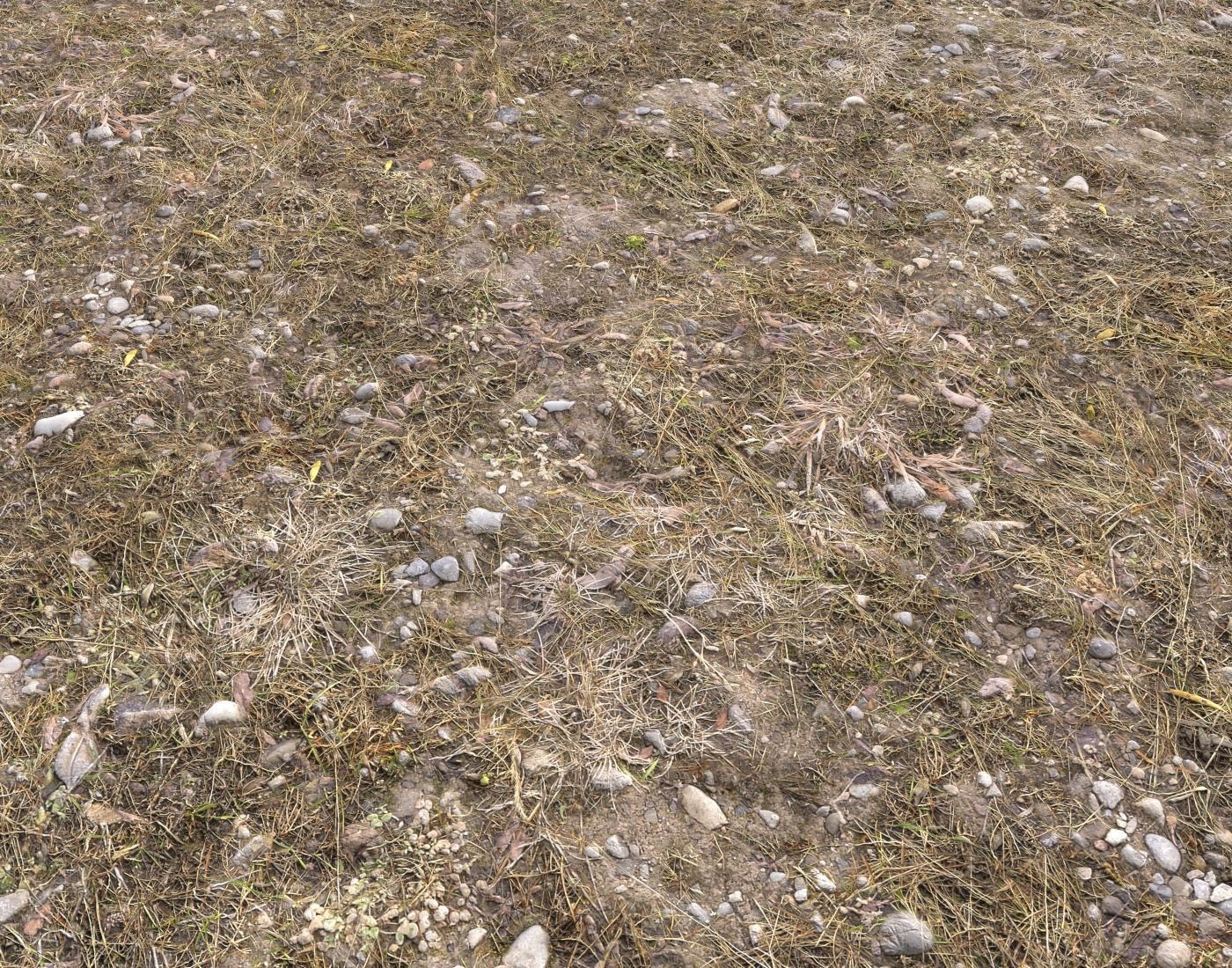 Ground terrain rough forest PBR pack 1 Texture_2