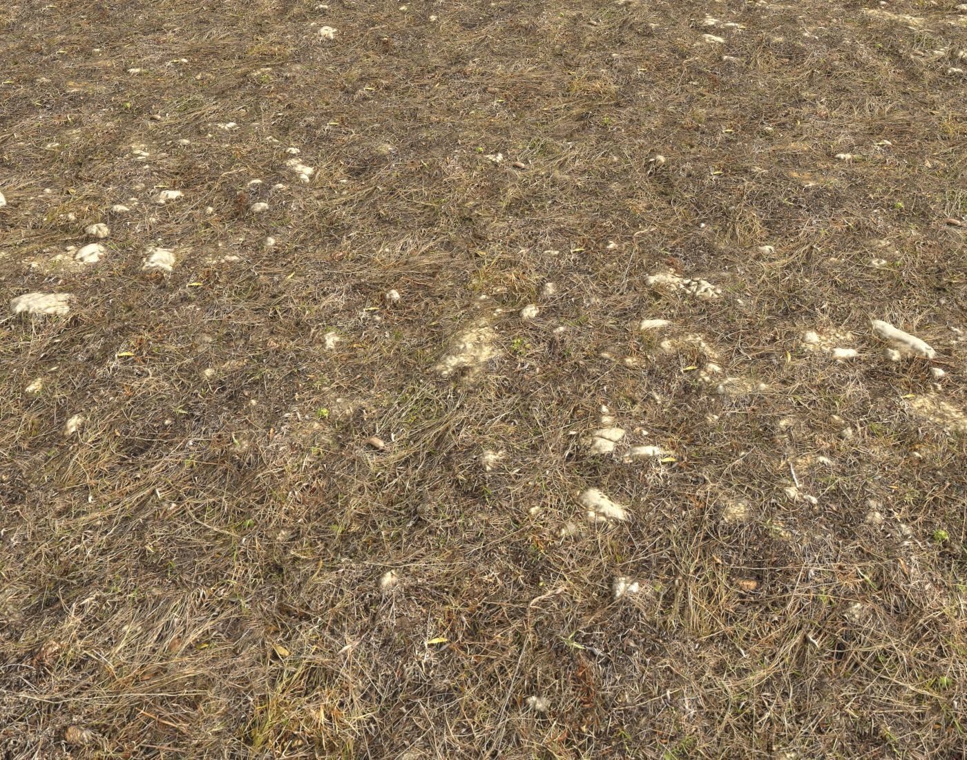 Ground terrain rough forest PBR pack 1 Texture_8