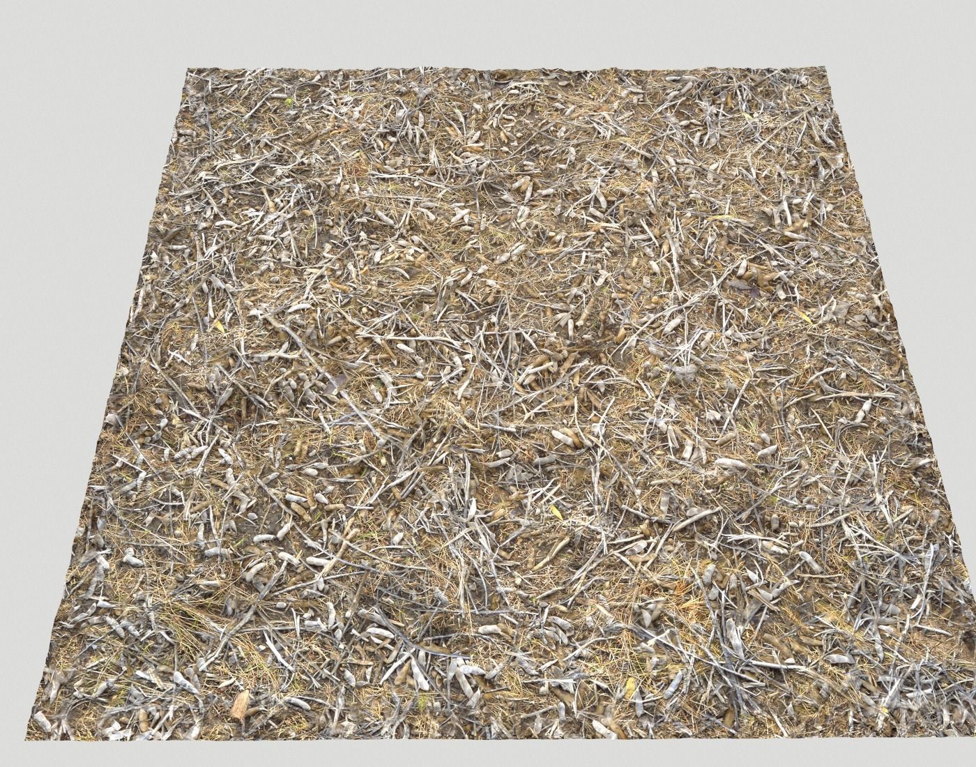 Ground terrain rough forest PBR pack 1 Texture_20