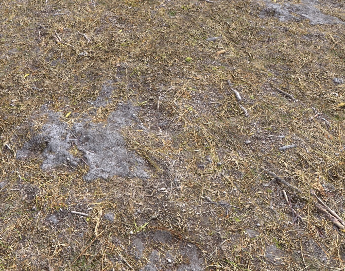 Ground terrain rough forest PBR pack 1 Texture_10