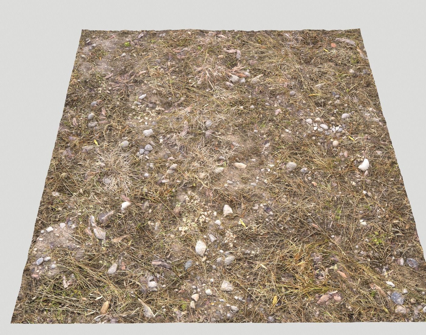 Ground terrain rough forest PBR pack 1 Texture_17