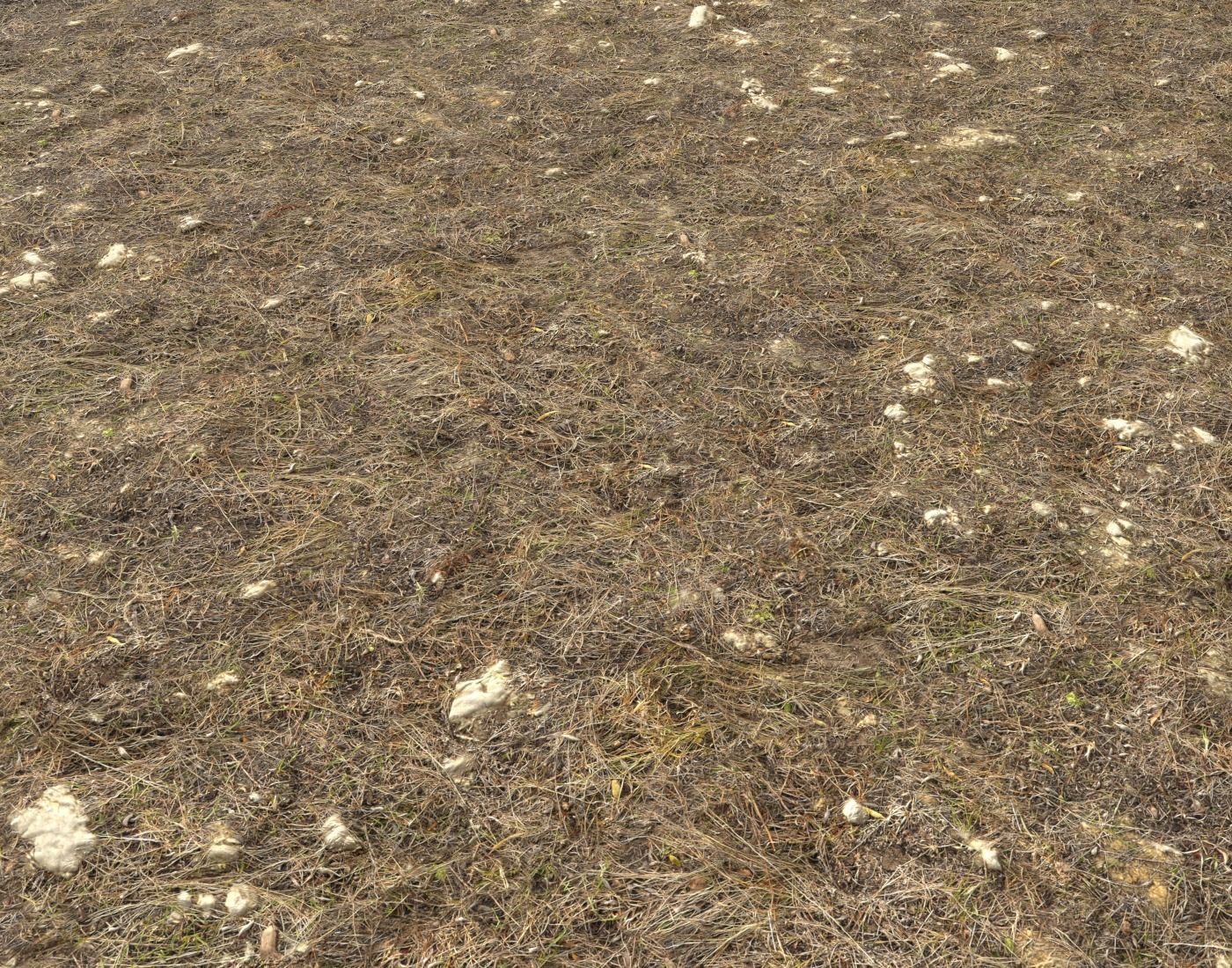 Ground terrain rough forest PBR pack 1 Texture_9