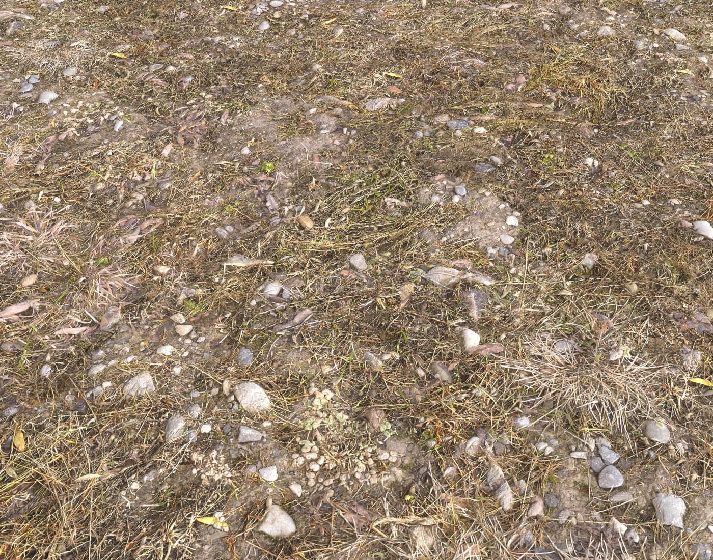 Ground terrain rough forest PBR pack 1 Texture_4