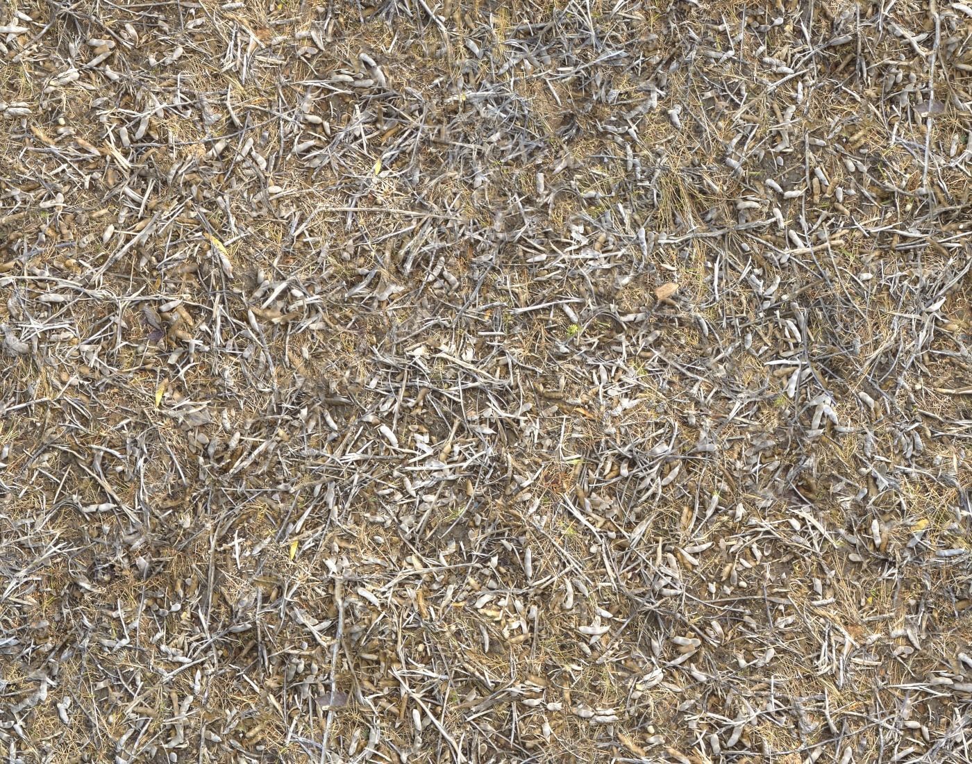 Ground terrain rough forest PBR pack 1 Texture_14