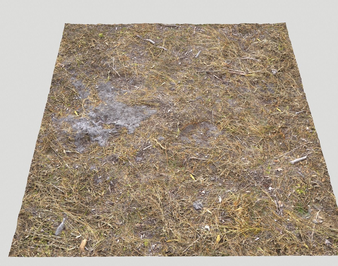 Ground terrain rough forest PBR pack 1 Texture_19