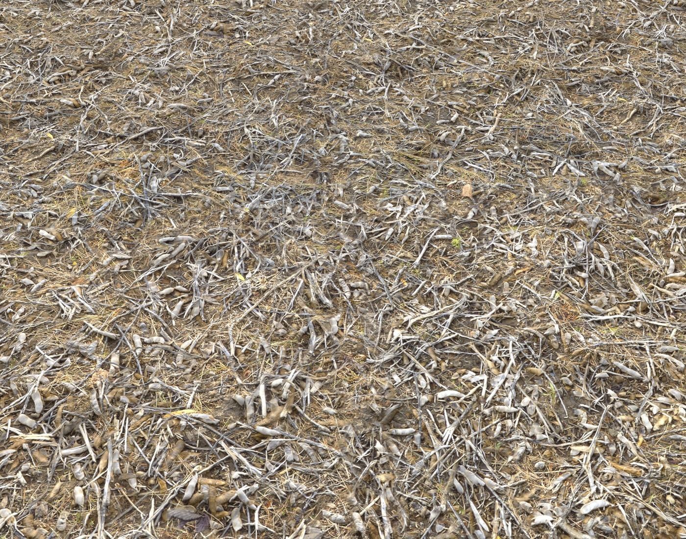 Ground terrain rough forest PBR pack 1 Texture_16