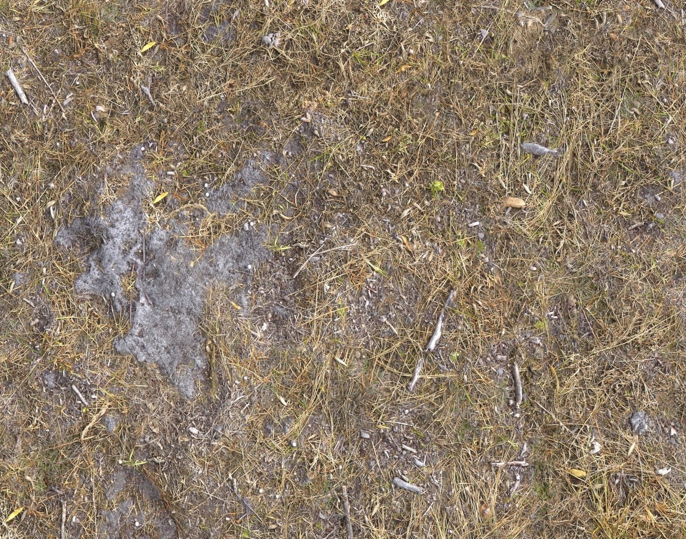 Ground terrain rough forest PBR pack 1 Texture_11