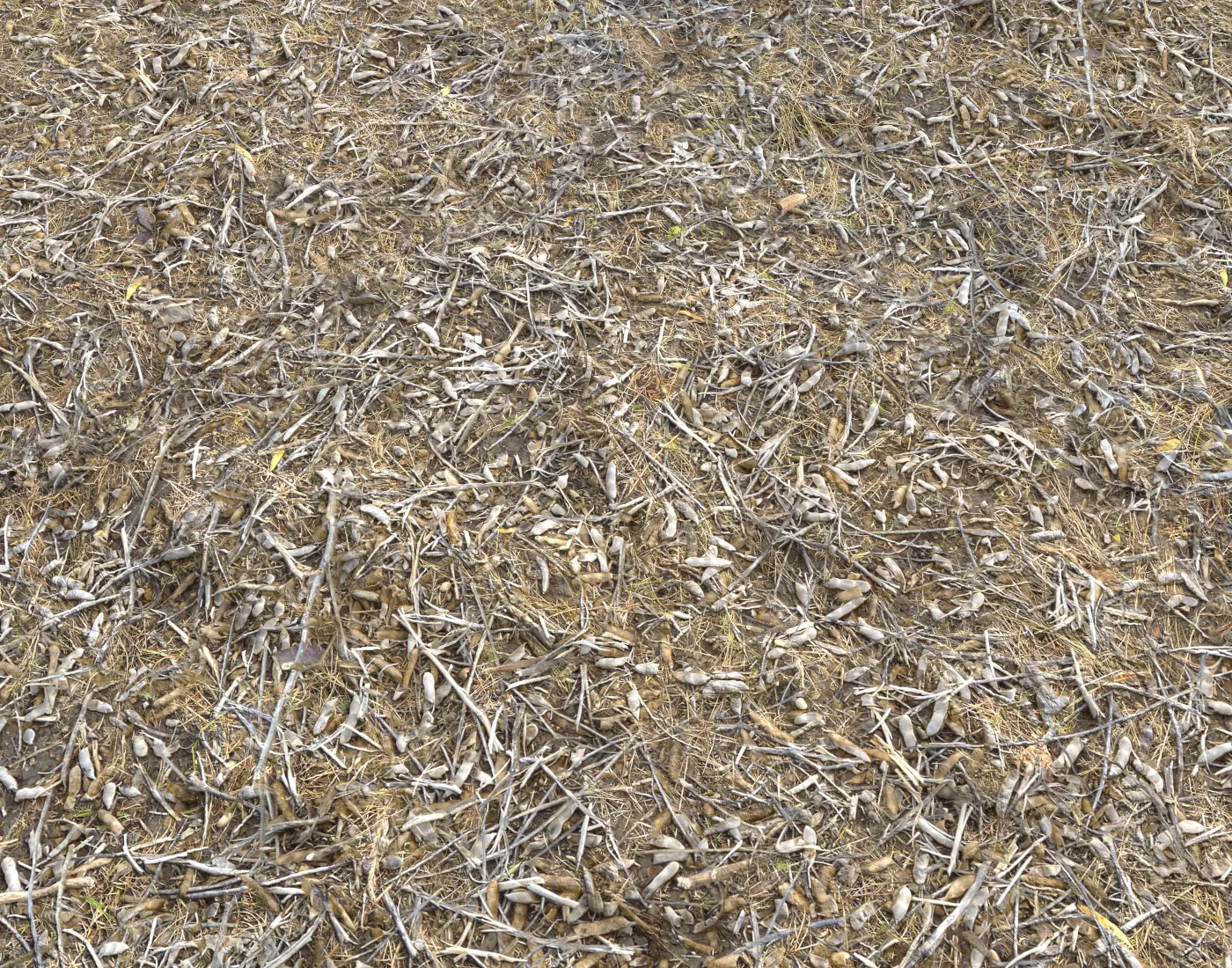 Ground terrain rough forest PBR pack 1 Texture_0