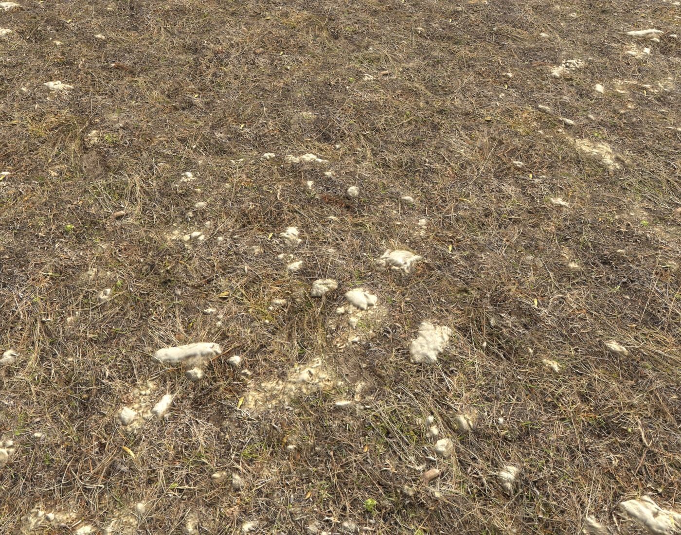 Ground terrain rough forest PBR pack 1 Texture_6