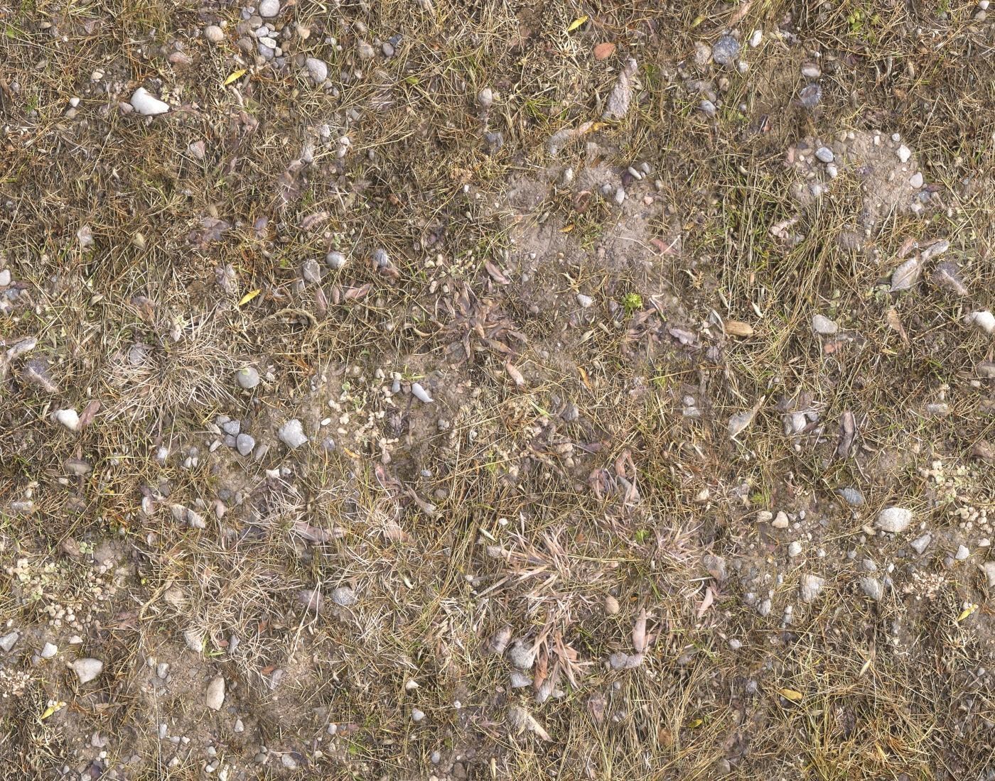 Ground terrain rough forest PBR pack 1 Texture_3