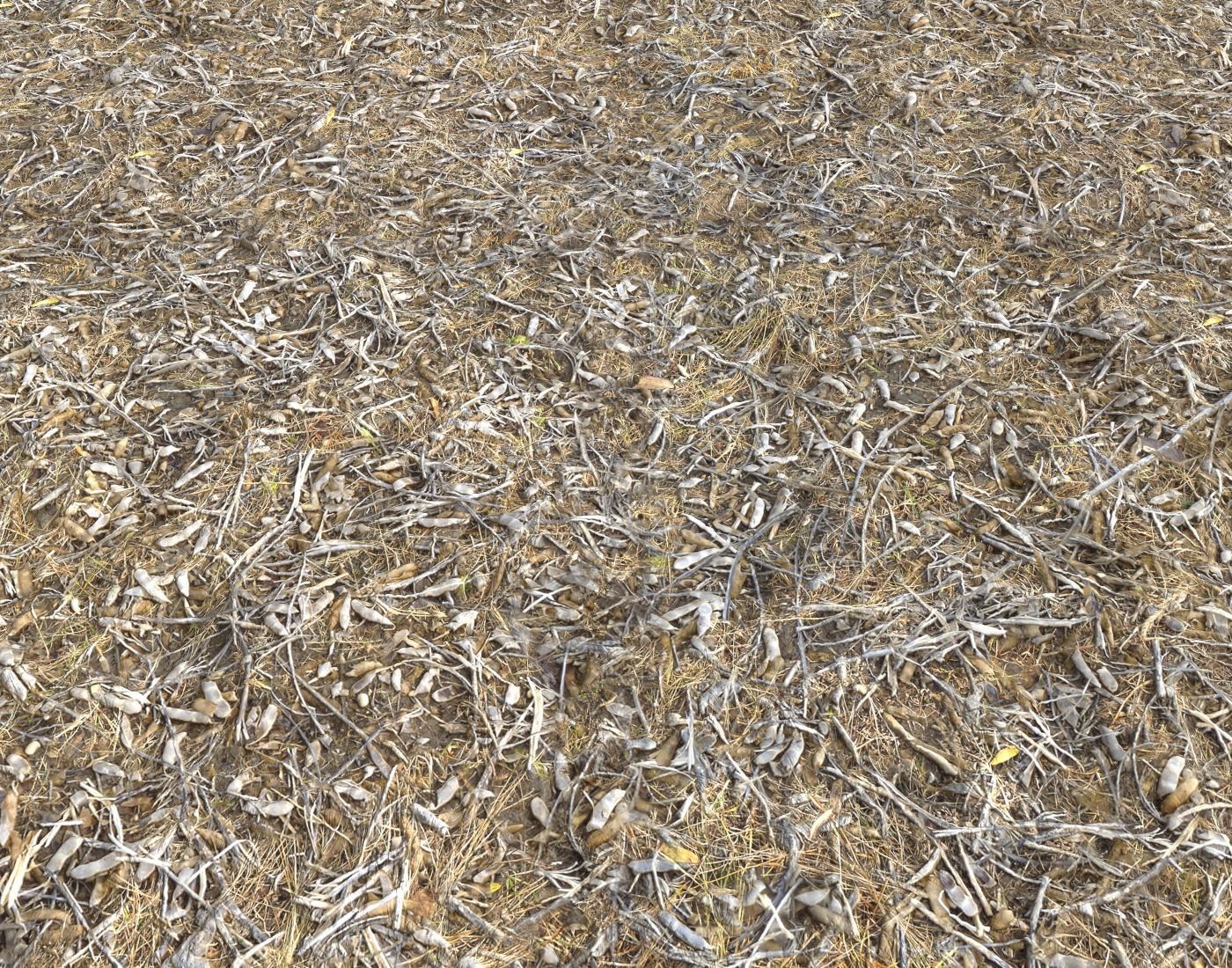 Ground terrain rough forest PBR pack 1 Texture_15