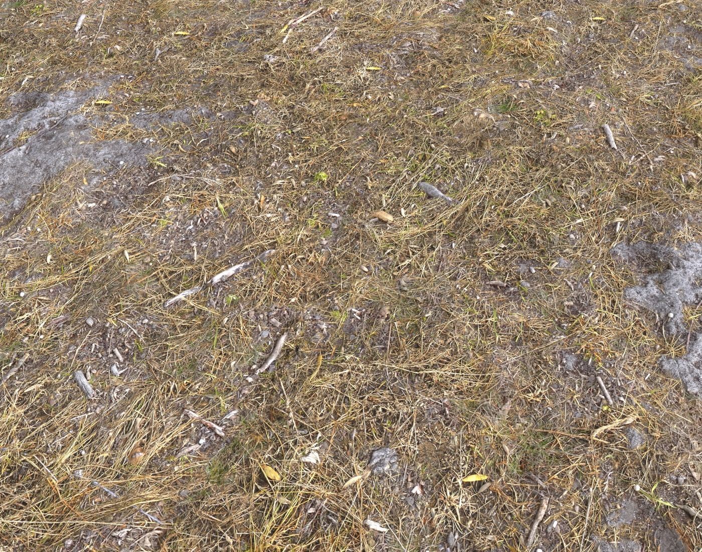Ground terrain rough forest PBR pack 1 Texture_12