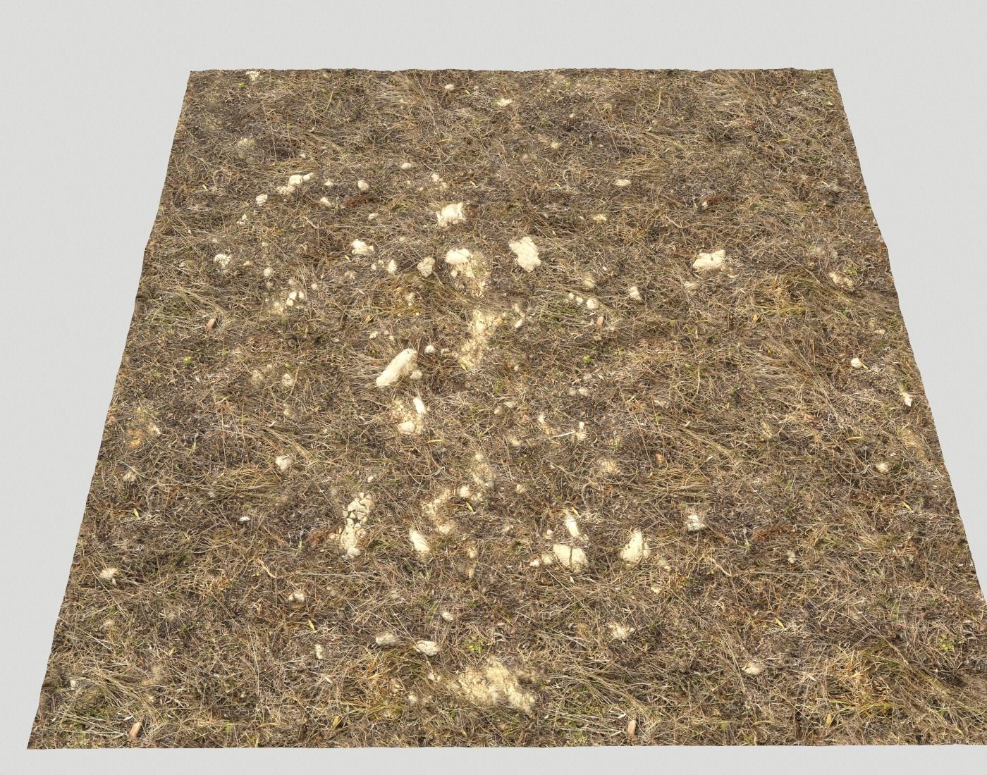 Ground terrain rough forest PBR pack 1 Texture_18