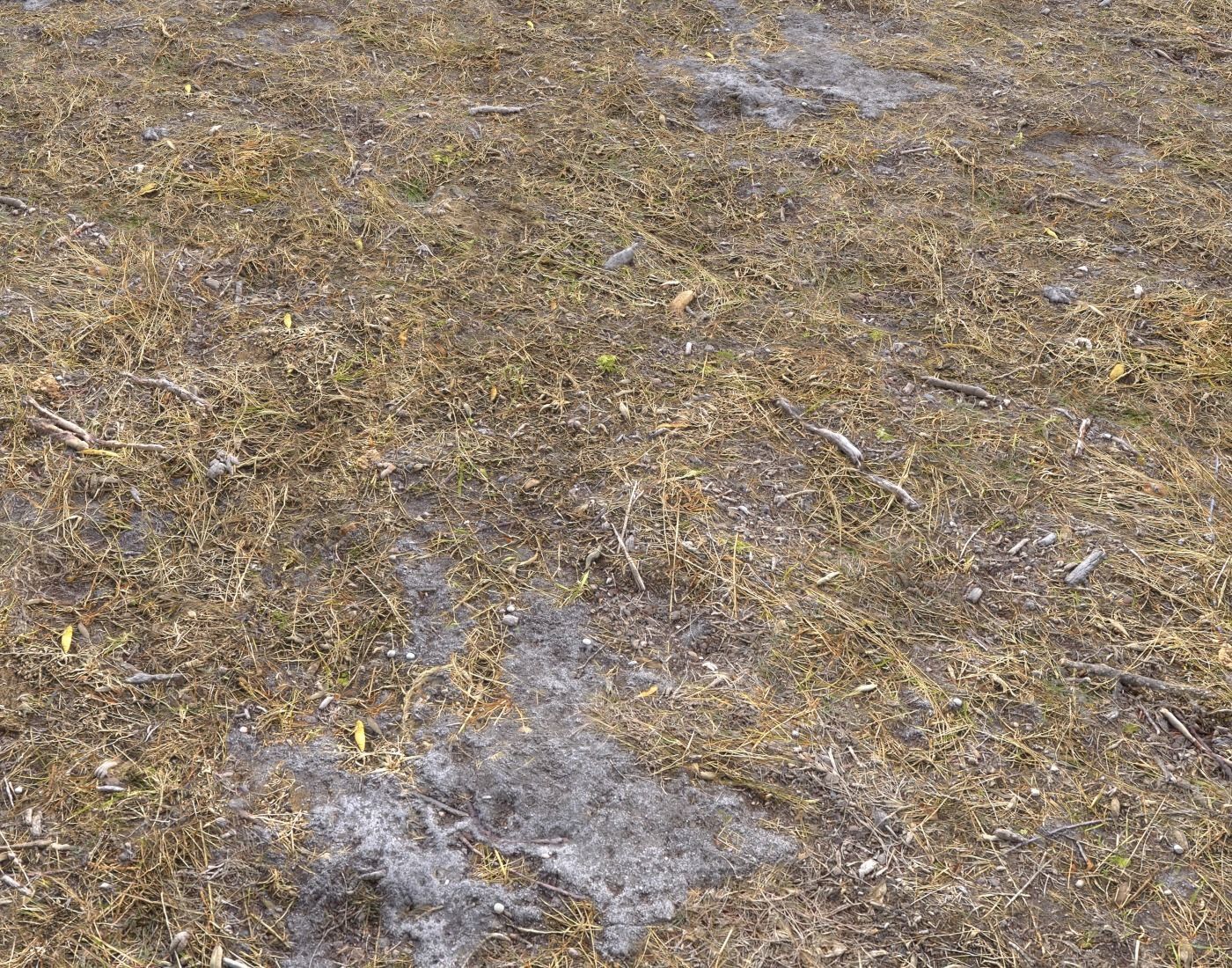 Ground terrain rough forest PBR pack 1 Texture_13