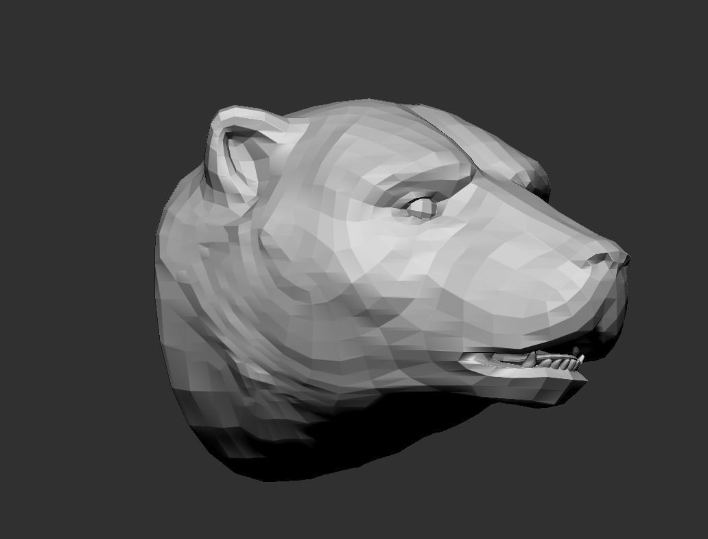 Polar bear head 2 3D print model_5