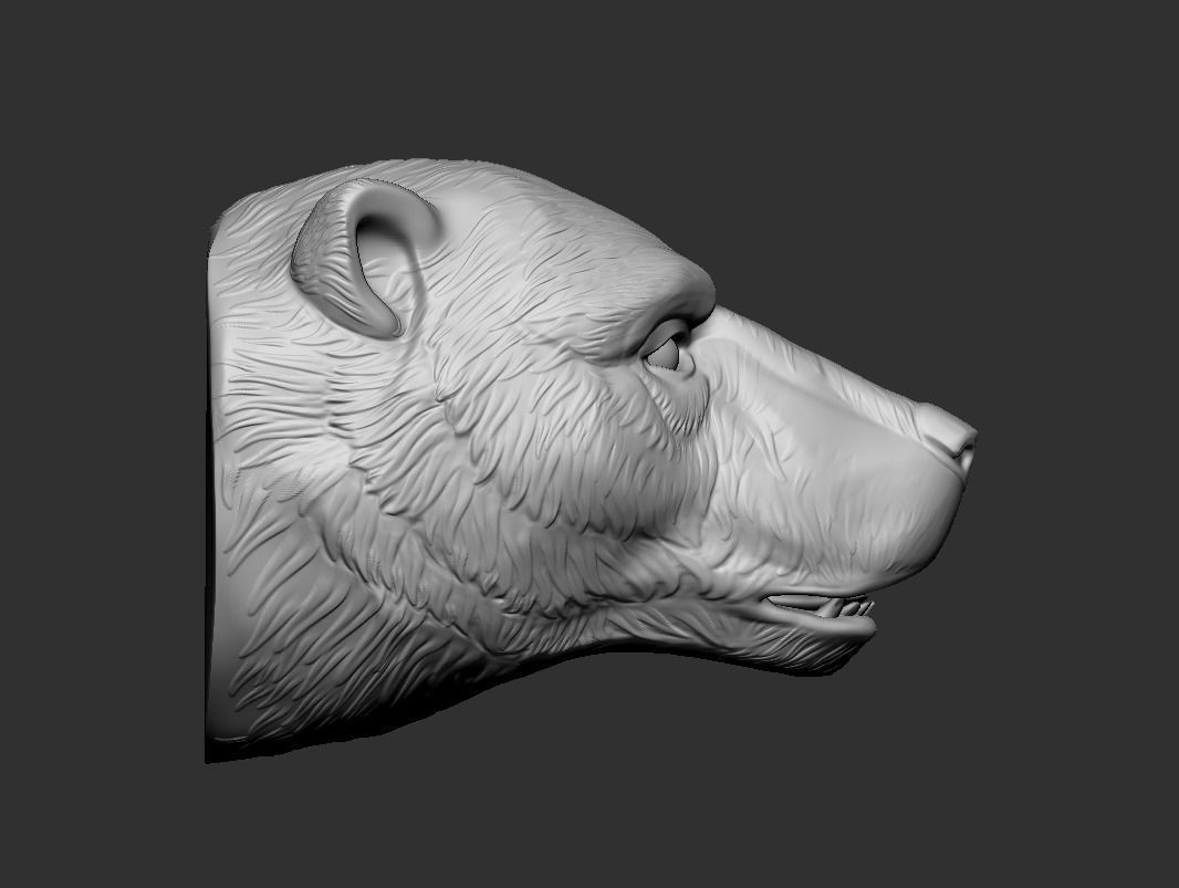 Polar bear head 2 3D print model_4
