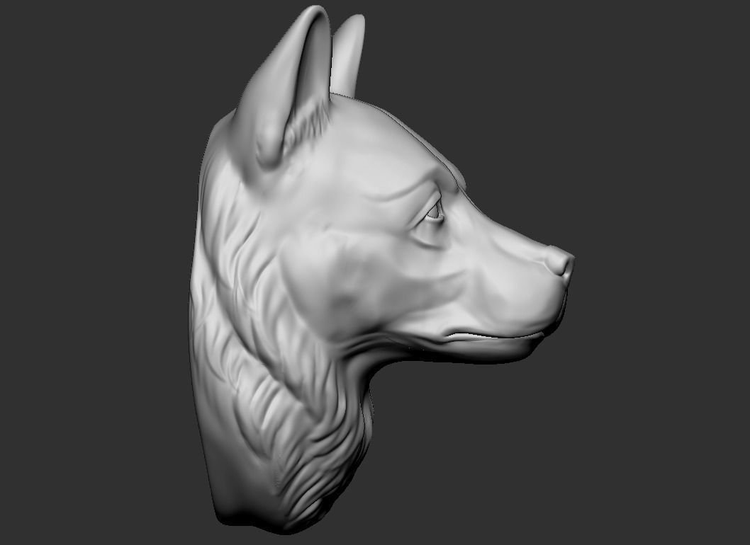 Sheepdog head  3D print model_3