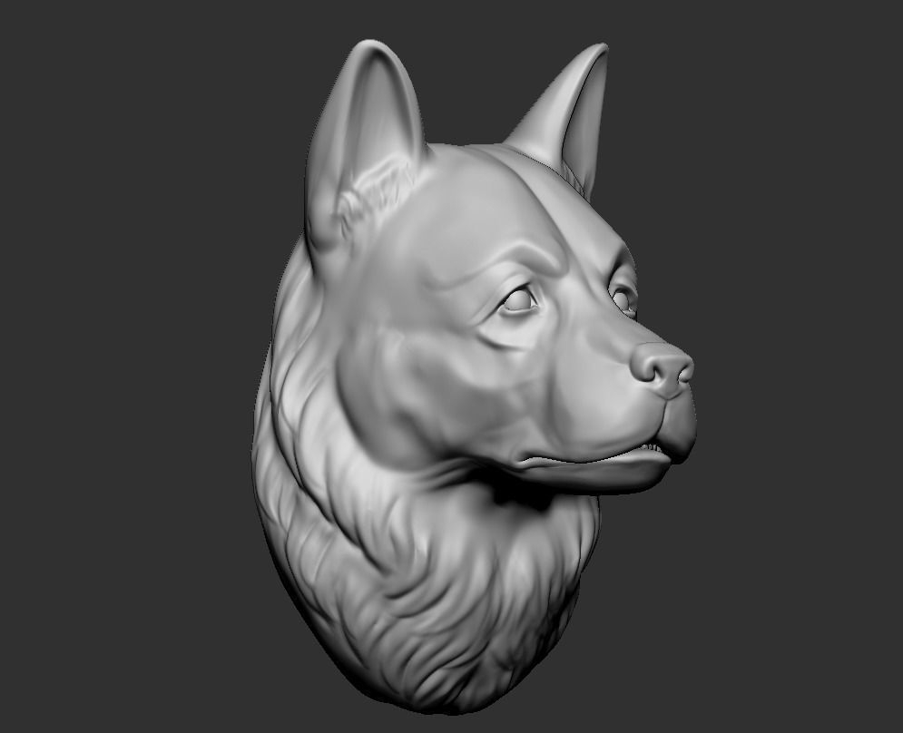 Sheepdog head  3D print model_4