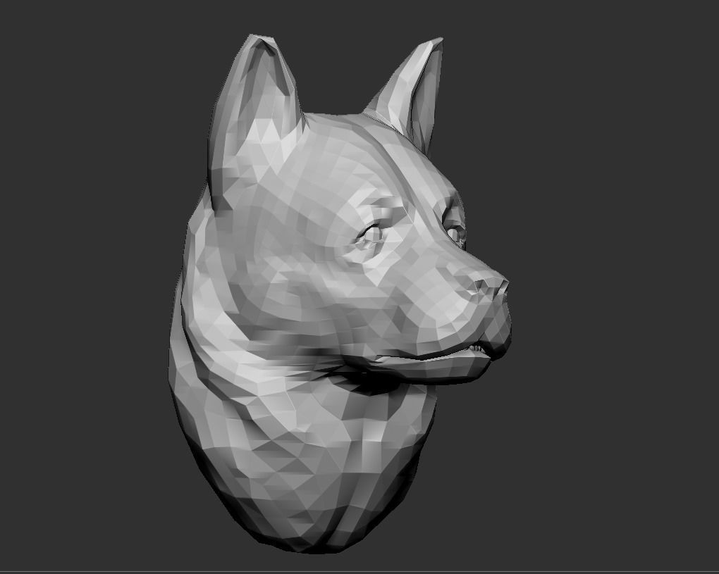Sheepdog head  3D print model_5