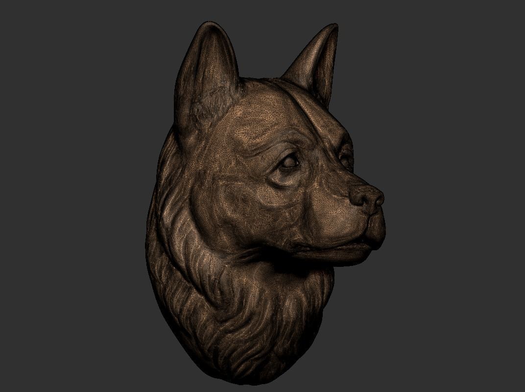 Sheepdog head  3D print model_8