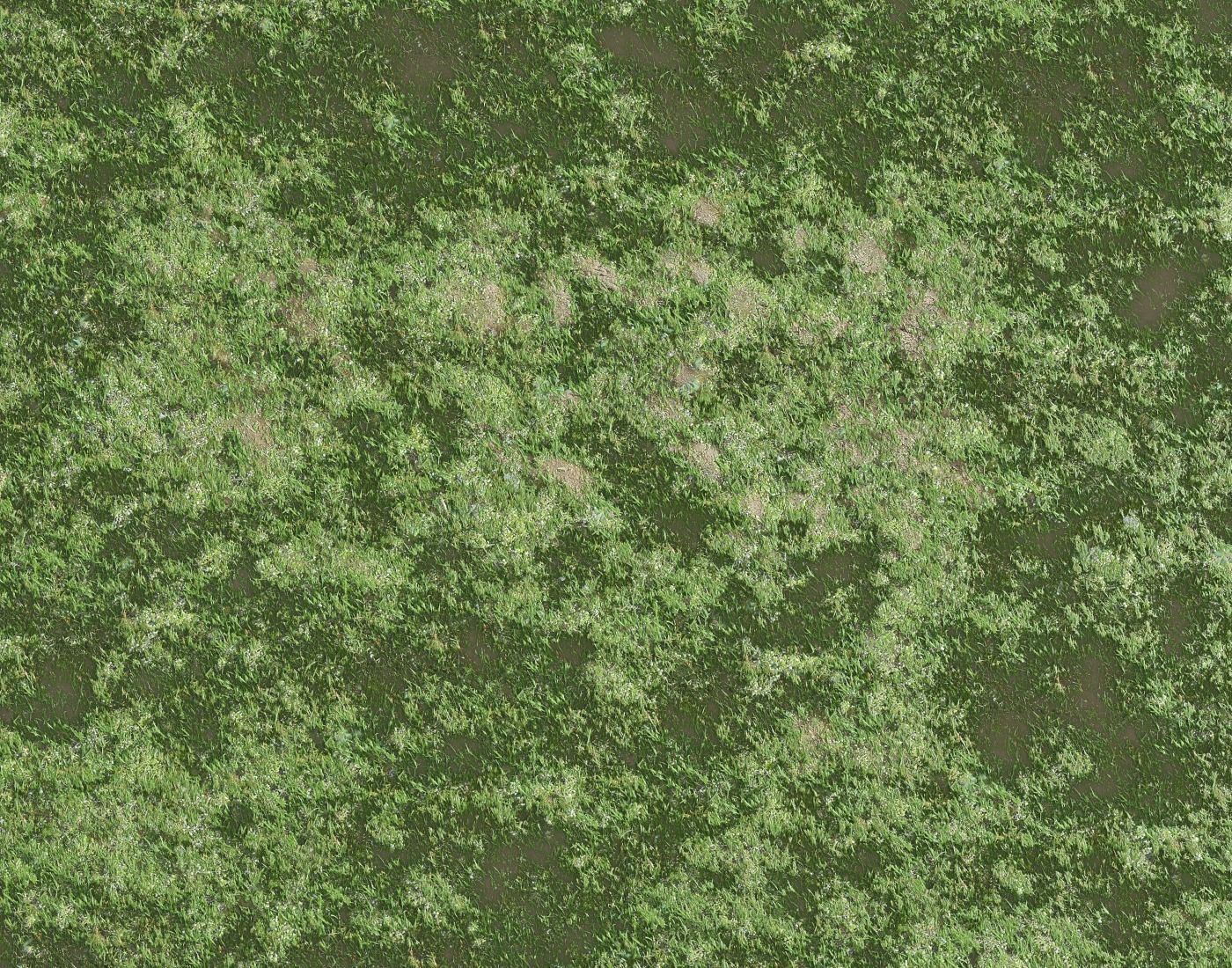 Ground terrain swamp PBR pack 1 Texture | CGTrader