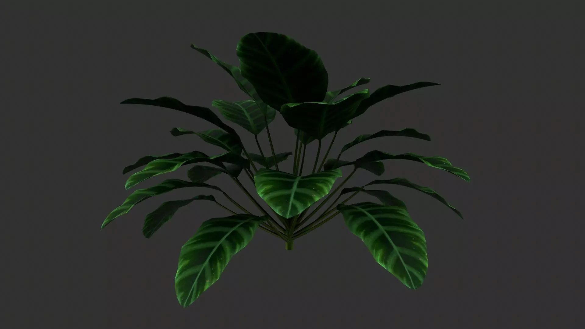 TREE-001 Plant 3D model_0