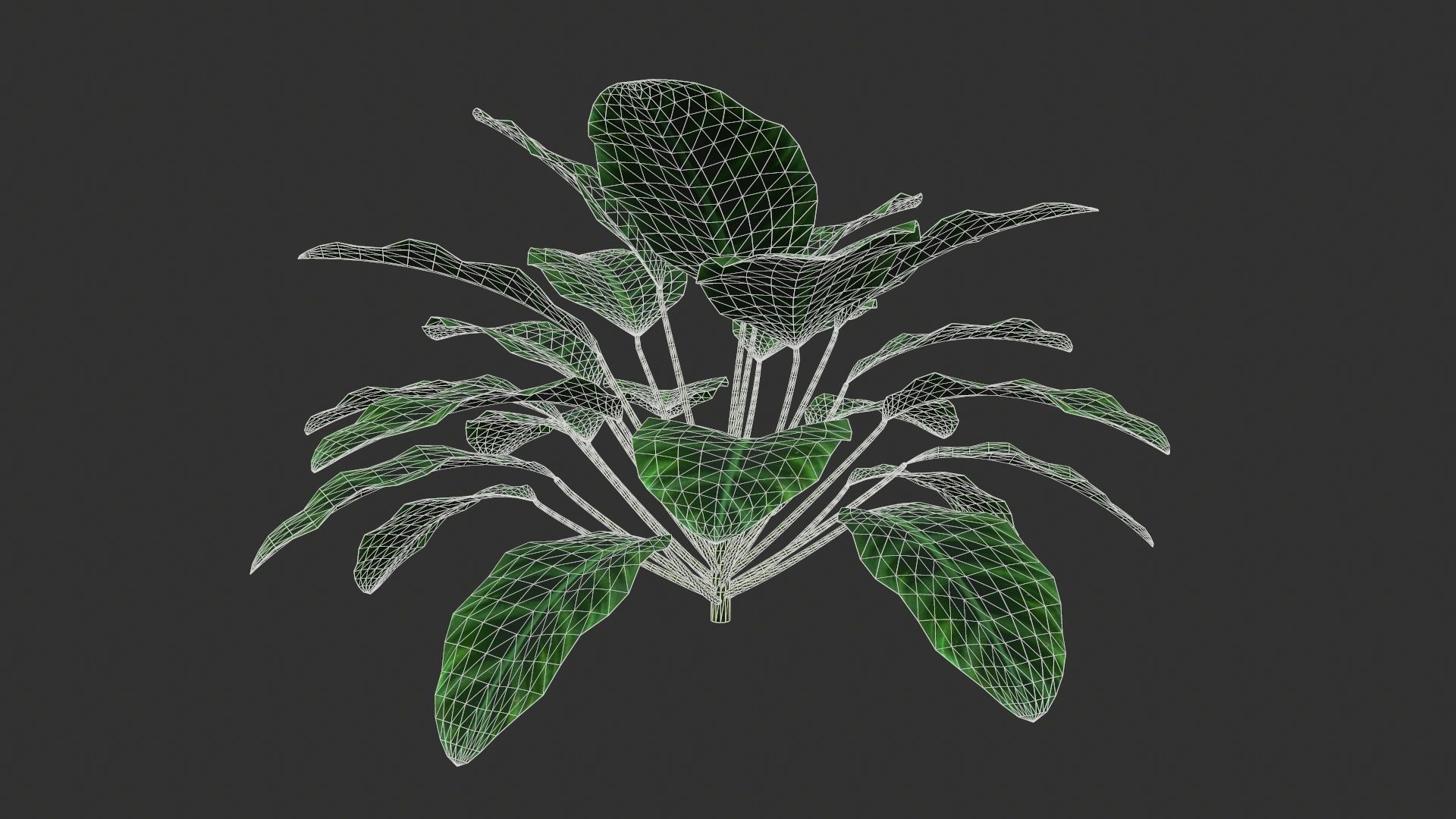 TREE-001 Plant 3D model_2