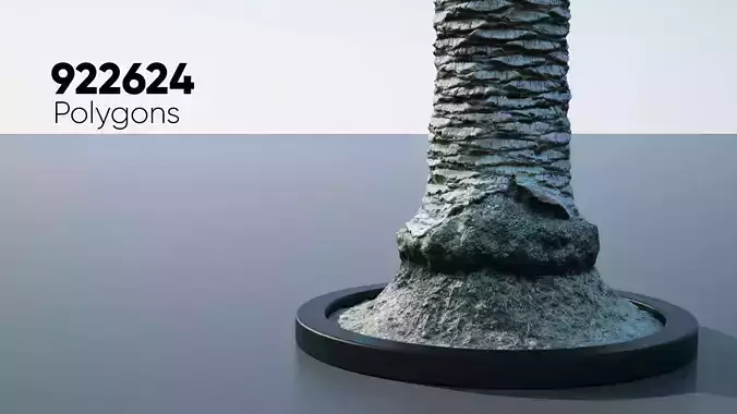 Ultra Realistic Palm Tree 3D model