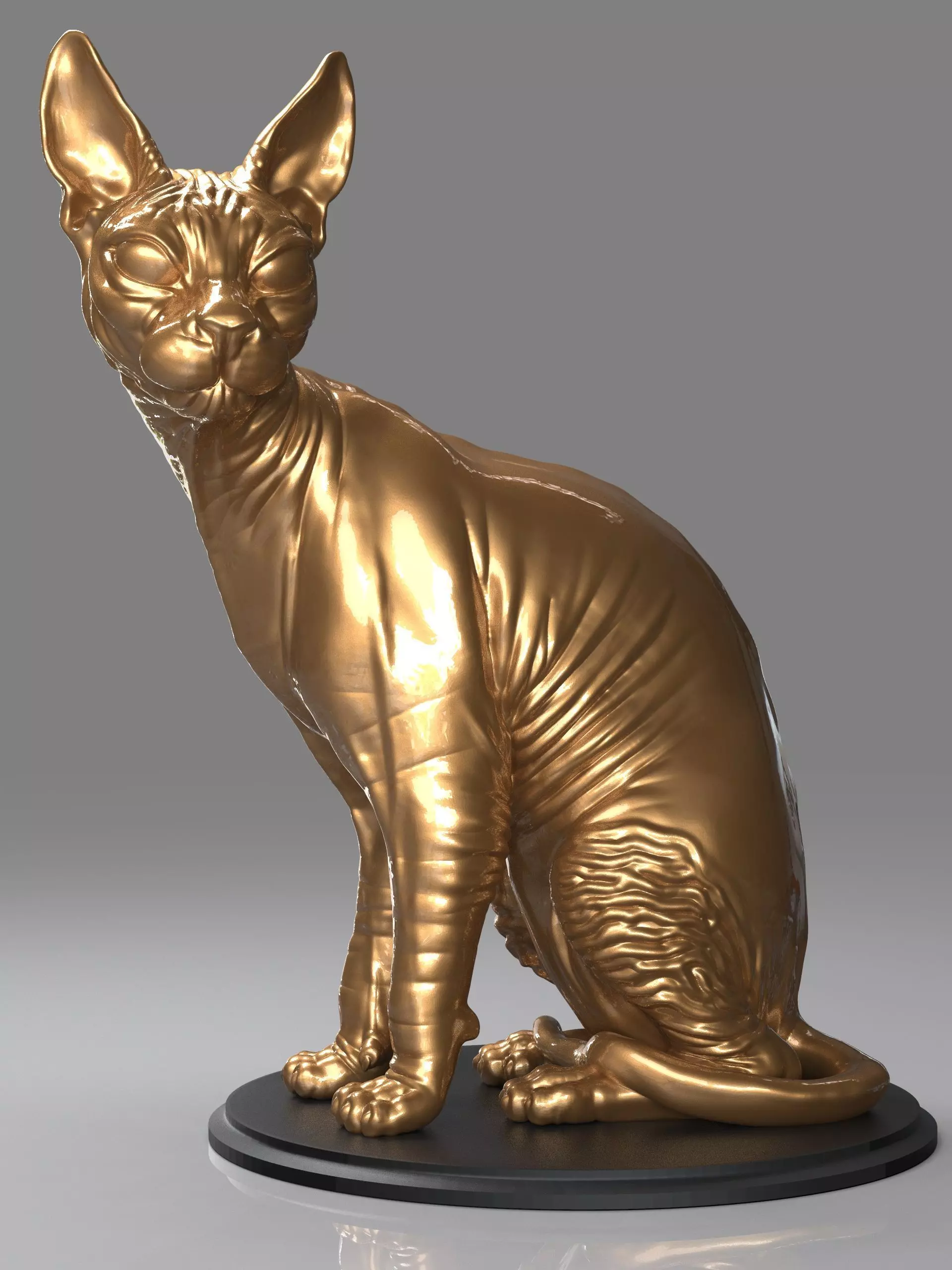 Cat Sphynx 3D print model