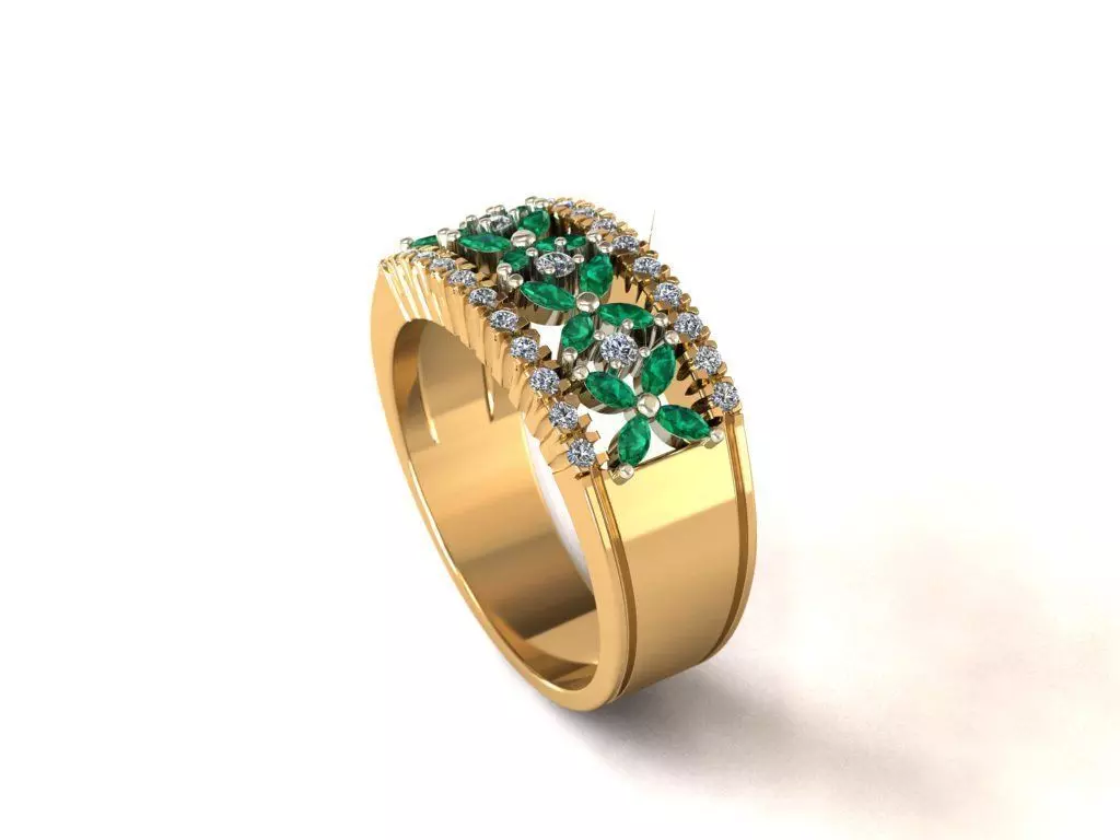 Ring WR08 3D print model_0