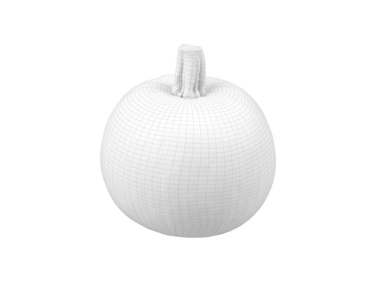 Photorealistic Pumpkin 3D Scan 2 3D model_7