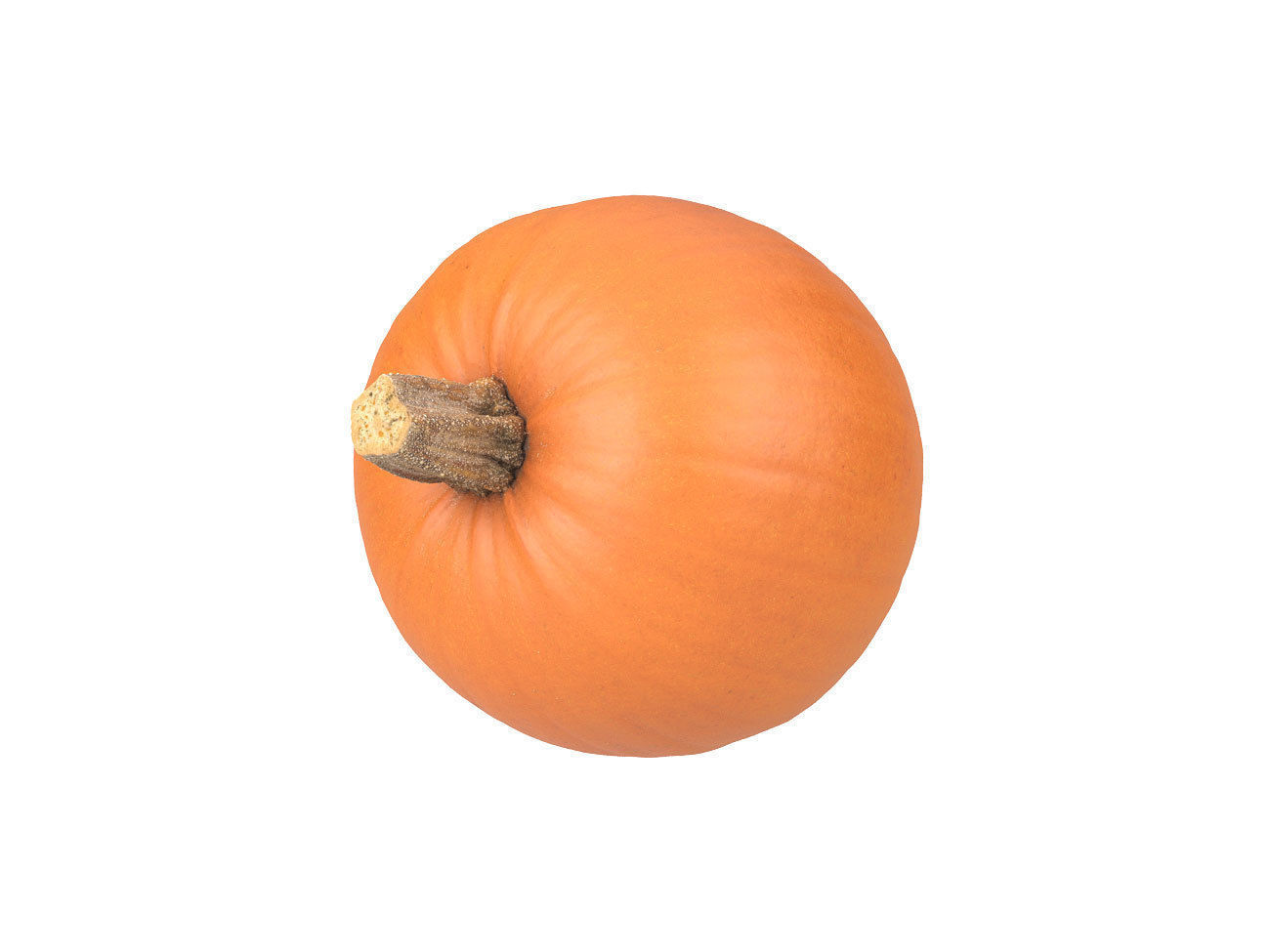 Photorealistic Pumpkin 3D Scan 2 3D model_4