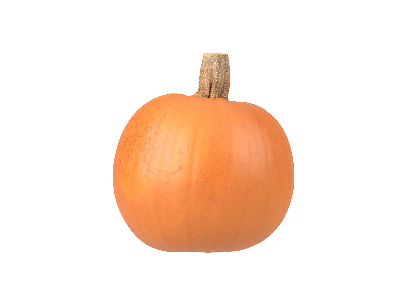 Photorealistic Pumpkin 3D Scan 2 3D model_1