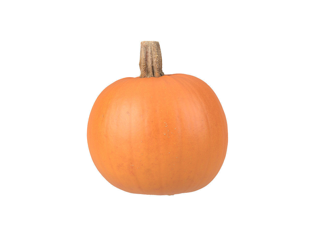 Photorealistic Pumpkin 3D Scan 2 3D model_2