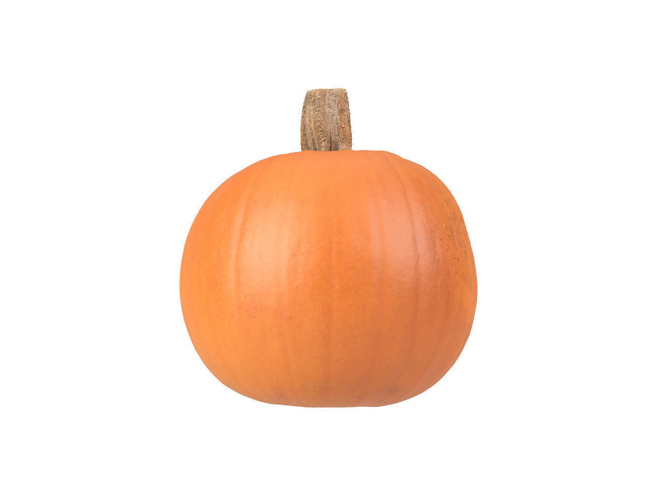 Photorealistic Pumpkin 3D Scan 2 3D model_3