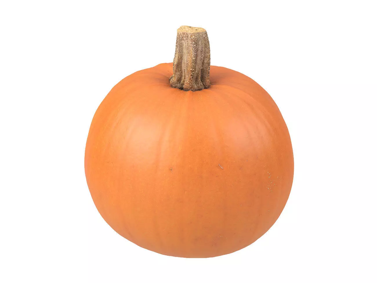 Photorealistic Pumpkin 3D Scan 2 3D model_0